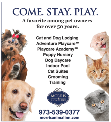 Morris Animal Inn | The Connections Magazines | New Jersey