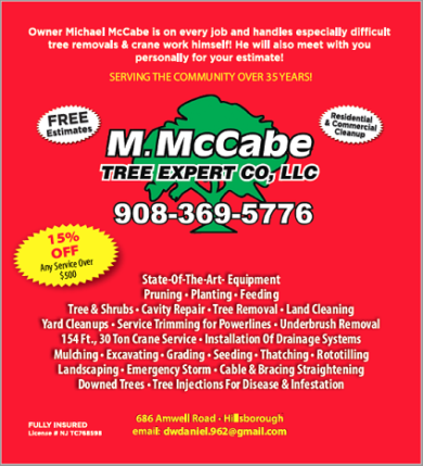 M. McCabe Tree Expert