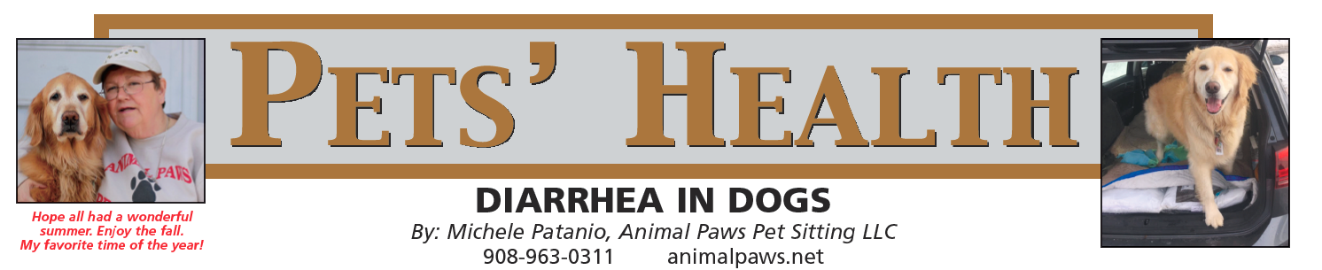 PETS’ HEALTH: Diarrhea in Dogs