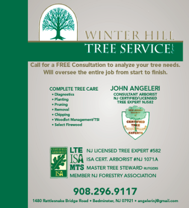 Winter Hill Tree Service