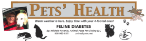 Feline Diabetes