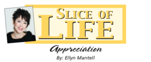 Slice of Life – Appreciation