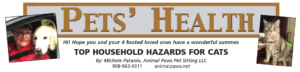 Top Household Hazards For Cats